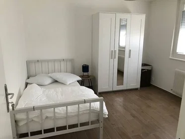 Stanza privata in Strasbourg, 67200, immagine 1 di 6