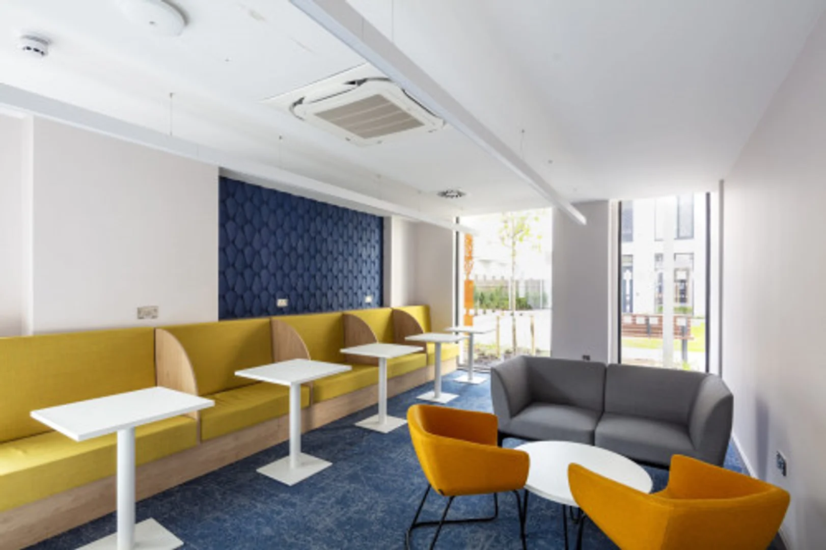 Affordable room for students with ample lighting in 