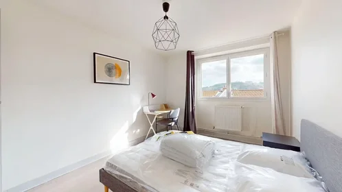 Chambre privée à Rue du Frère Maras, Centre Ville-Peuple-Chavanelle, image 1 de 10