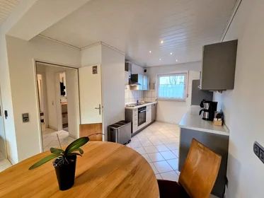 Entire apartment at Seurreallee, Bodenheim, image 8 of 10
