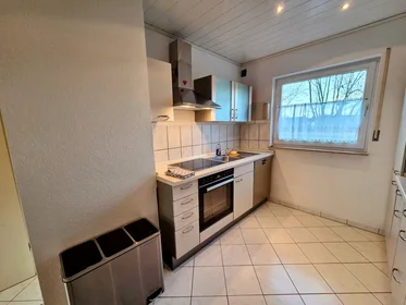 Entire apartment at Seurreallee, Bodenheim, image 10 of 10