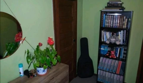 Room for rent in a shared flat in Auckland