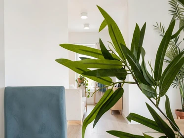 Stanza privata in Sants Montjuic, Barcelona, immagine 16 di 28