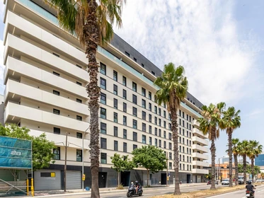 Stanza privata in Sants Montjuic, Barcelona, immagine 24 di 28