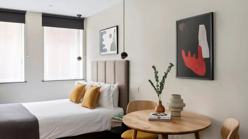 Pokój do wynajęcia z podwójnym łóżkiem w City Of London