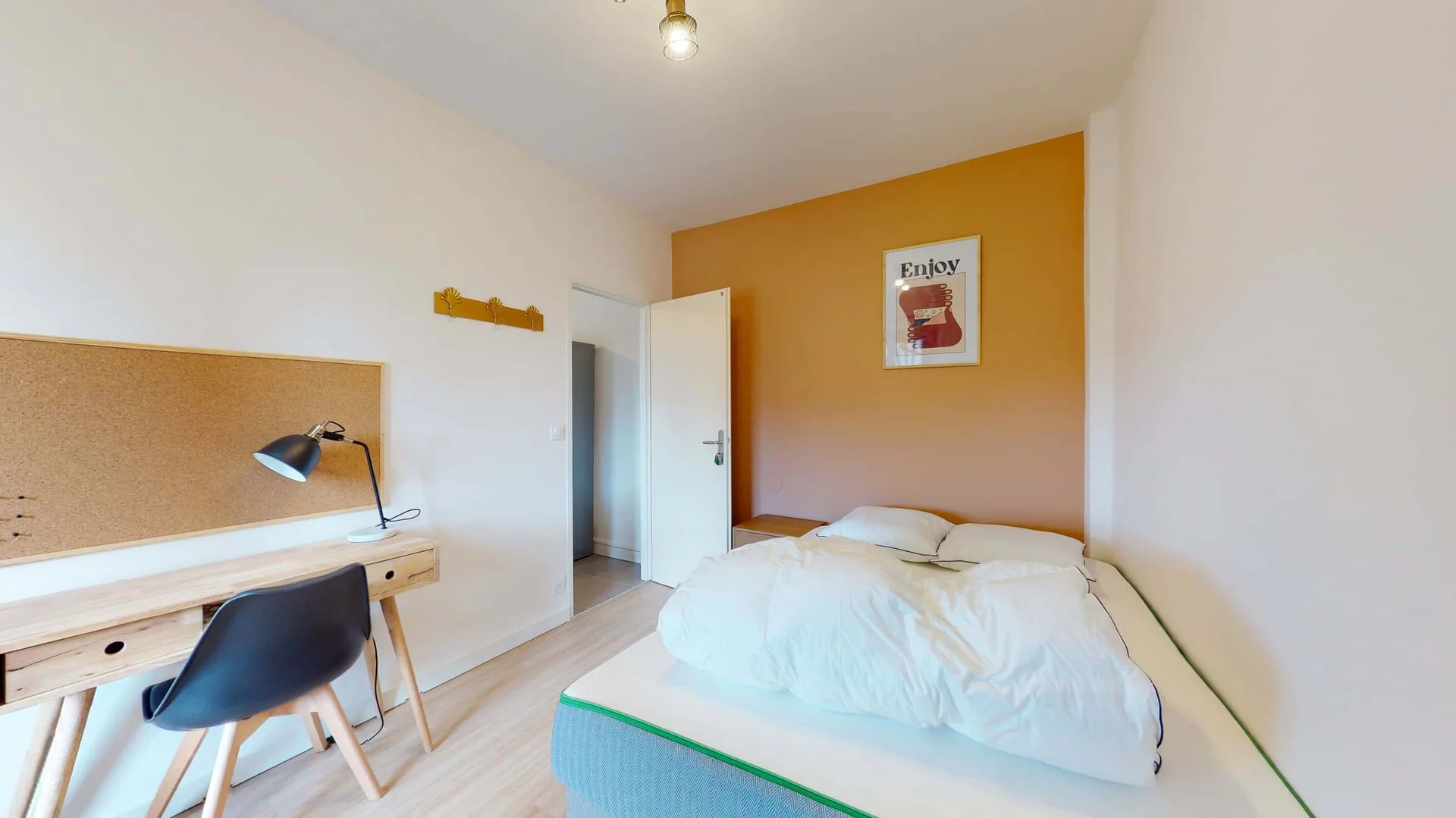 Affordable room for students with ample lighting in 