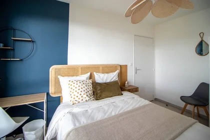 Private room at Villeurbanne, 69100, image 1 of 10