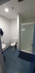 Günstiges Privatzimmer in Auckland