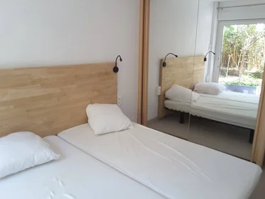 Homestay at La rochelle, 17000, image 6 of 27