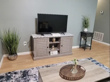 Entire apartment at South Dillon Road, South Gordon Hills, image 1 of 8