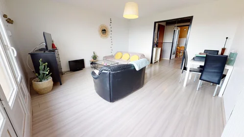 Prywatny pokój 15 Rue Lafayette, Dijon 21000, obraz 14 16