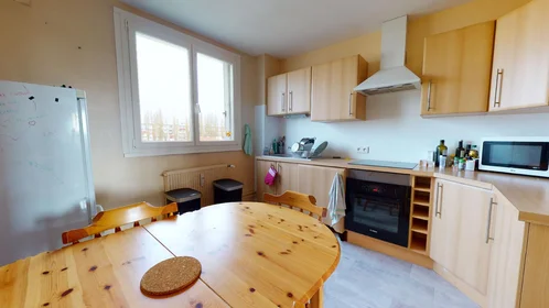 Prywatny pokój 15 Rue Lafayette, Dijon 21000, obraz 7 16