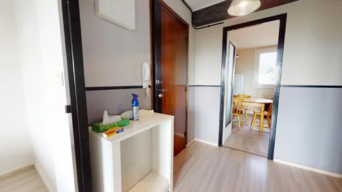 Prywatny pokój 15 Rue Lafayette, Dijon 21000, obraz 9 16