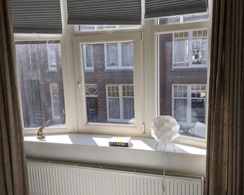 Private room at Esdoornstraat, image 1 of 7