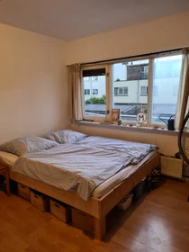 Prywatny pokój Kinrooistraat, obraz 1 10