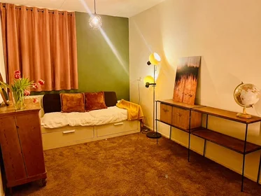 Habitación privada en Tolsteegsingel, imagen 5 de 10