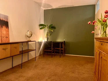 Habitación privada en Tolsteegsingel, imagen 6 de 10