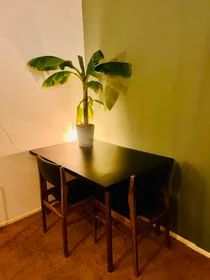 Habitación privada en Tolsteegsingel, imagen 7 de 10