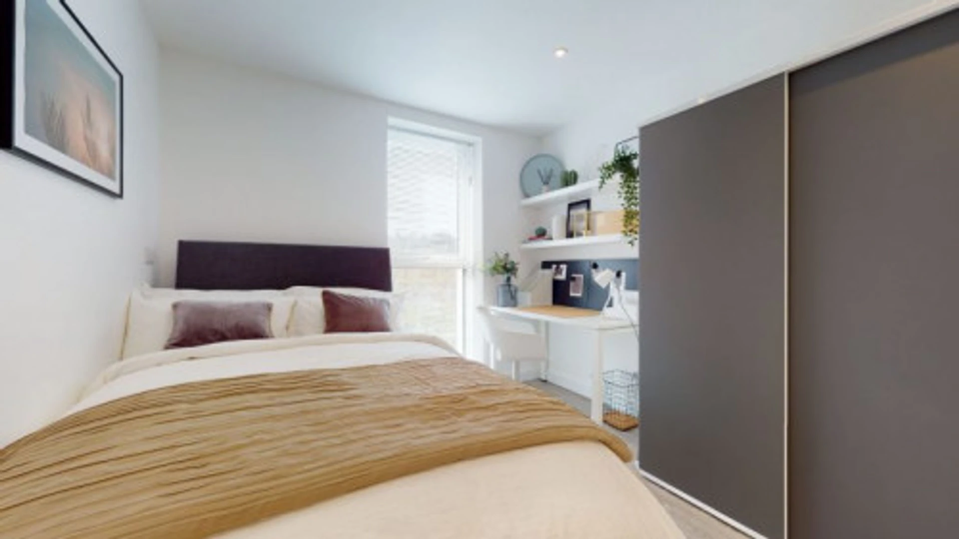 Affordable room for students with ample lighting in 