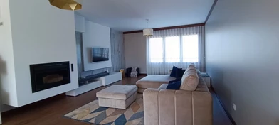 Entire fully furnished flat in Leiria