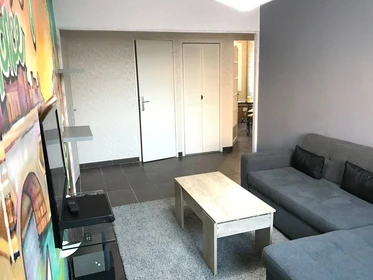 Room for rent in a shared flat in Toulouse