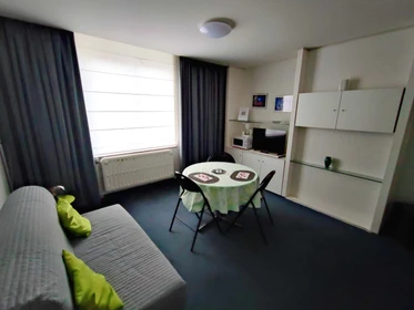 Bright private room in Liège