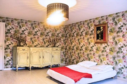 Pokój do wynajęcia z podwójnym łóżkiem w Marsylia