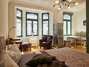 Apartamento inteiro em Schnorrstraße, Schleußig, imagem 1 de 10
