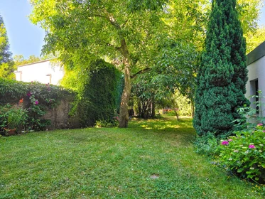 Appartamento intero in Schnorrstraße, Schleußig, immagine 5 di 10