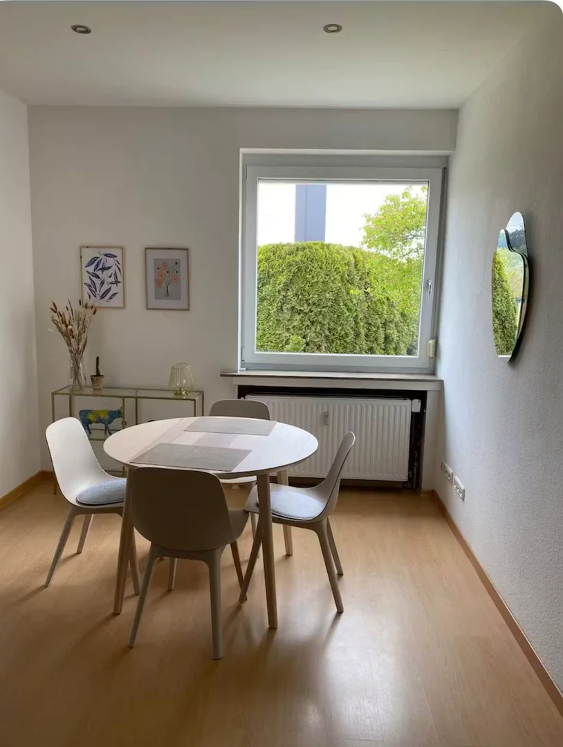 Mähringer Weg, Ulm