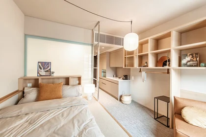 Alquiler de habitación en piso compartido en Basel