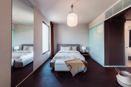 Habitación en alquiler con cama doble Basel