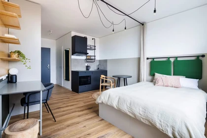 Münster de çift kişilik yataklı kiralık oda
