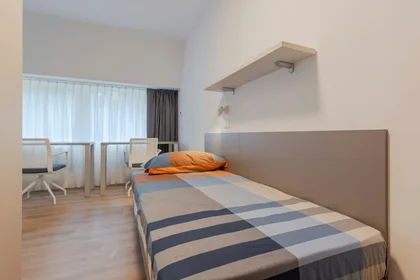 Mehrbettzimmer in der Via della Malvasia, , bild 3 von 10