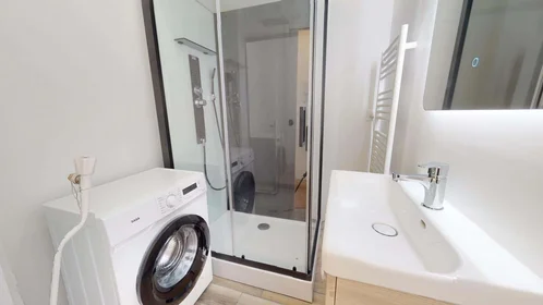 Logement entier à 93 Av. Roger Salengro, 69100 Villeurbanne, France, image 14 de 15