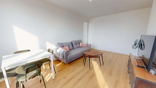 Logement entier à 93 Av. Roger Salengro, 69100 Villeurbanne, France, image 4 de 15