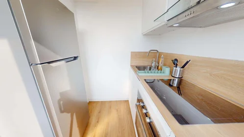 Logement entier à 93 Av. Roger Salengro, 69100 Villeurbanne, France, image 6 de 15