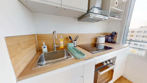 Logement entier à 93 Av. Roger Salengro, 69100 Villeurbanne, France, image 7 de 15