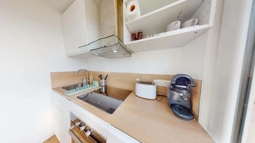Logement entier à 93 Av. Roger Salengro, 69100 Villeurbanne, France, image 8 de 15