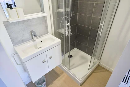 Privatzimmer in der Rue des Jardiniers, 54000 Nancy, France, bild 6 von 20