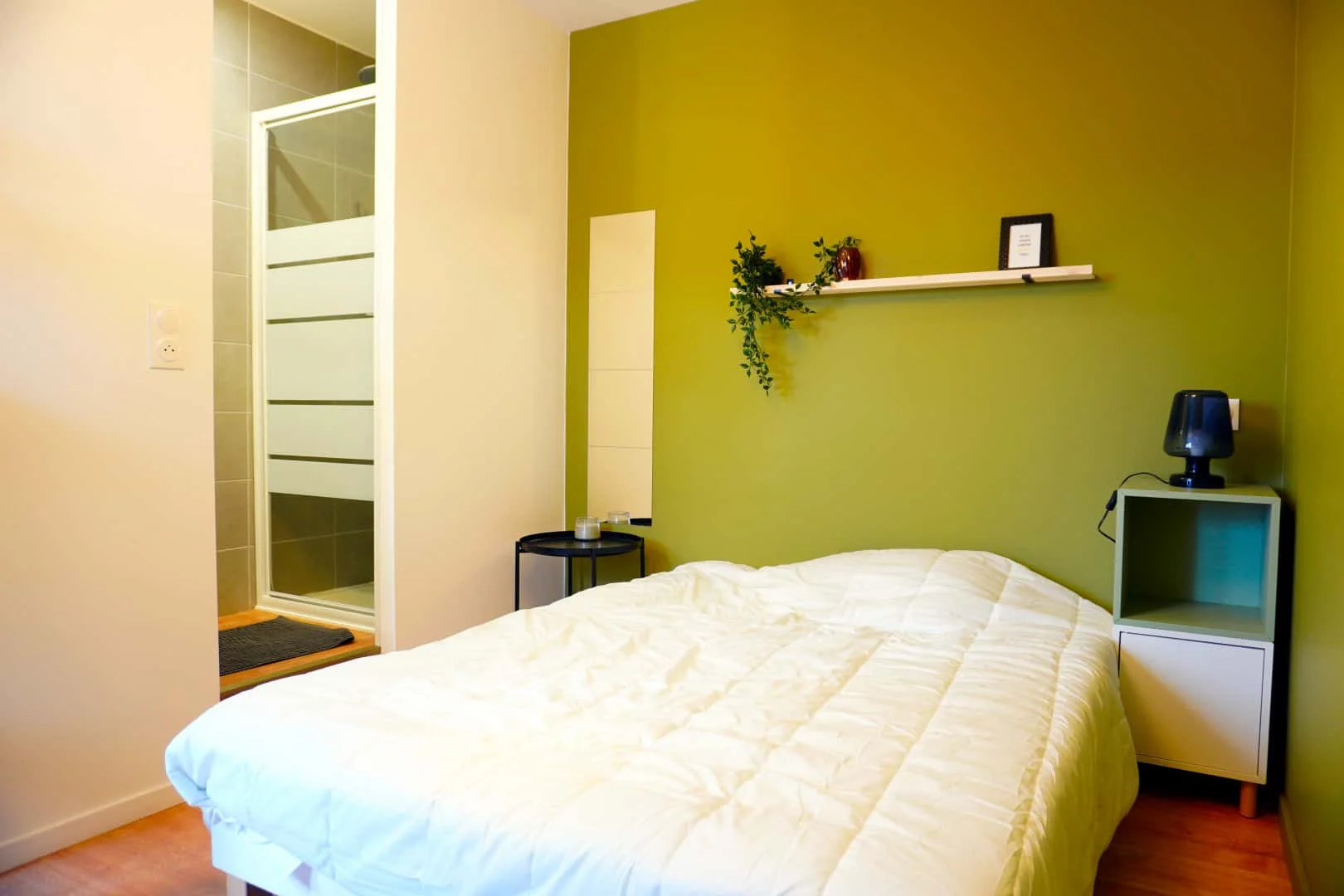 Student-friendly room in with modern amenities