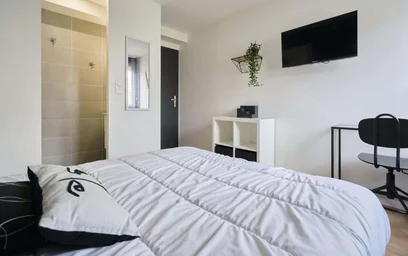 Habitación privada en 29 Av. Major Général Georges Vanier, 10000 Troyes, France, imagen 2 de 22