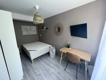 Stanza privata in 20 Rue des Guillemets, 10000 Troyes, France, immagine 2 di 6