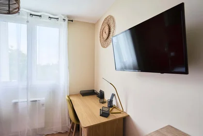 Privatzimmer in der 6 Av. des Martyrs de la Résistance, 10000 Troyes, France, bild 4 von 23