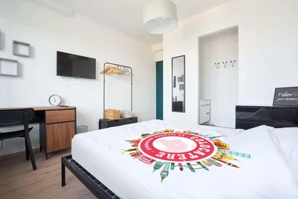Chambre privée à 250 Rue Jeanne d'Arc, 54000 Nancy, France, image 3 de 14