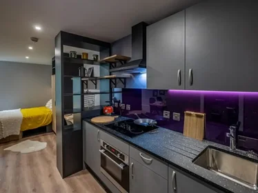 Stanza privata in residence in Carters Yard 12 Dumbarton Rd, Stirling FK8 2FB, United Kingdom, immagine 6 di 18