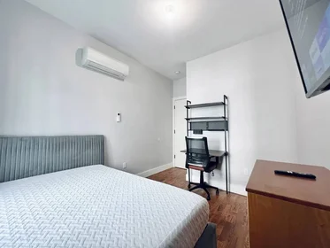 Logement entier en résidence à 325 Putnam Ave, 2L, Brooklyn NY, 11216, 2L, Bedford-Stuyvesant, New York, NY, 11216, image 2 de 8