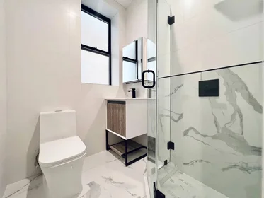 Logement entier en résidence à 325 Putnam Ave, 2L, Brooklyn NY, 11216, 2L, Bedford-Stuyvesant, New York, NY, 11216, image 3 de 8