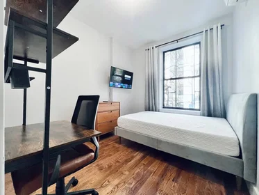 Logement entier en résidence à 325 Putnam Ave, 2L, Brooklyn NY, 11216, 2L, Bedford-Stuyvesant, New York, NY, 11216, image 4 de 8