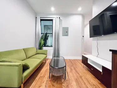 Logement entier en résidence à 325 Putnam Ave, 2L, Brooklyn NY, 11216, 2L, Bedford-Stuyvesant, New York, NY, 11216, image 5 de 8